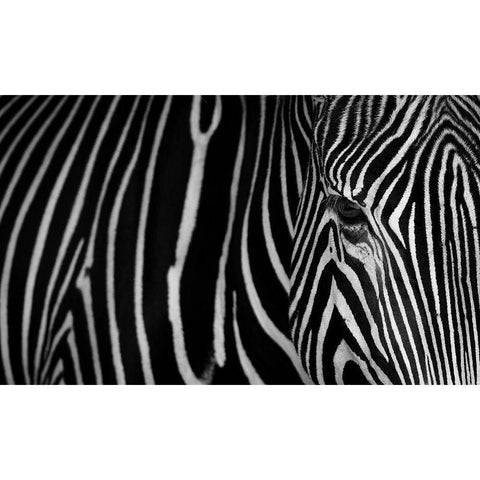 Stripes Gold Ornate Wood Framed Art Print with Double Matting by Saavedra Ruiz, Sergio