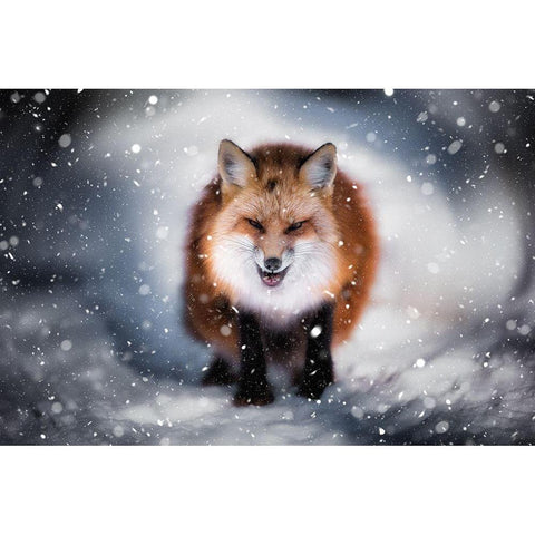 Renart Black Modern Wood Framed Art Print with Double Matting by Yatsushima, Yuki