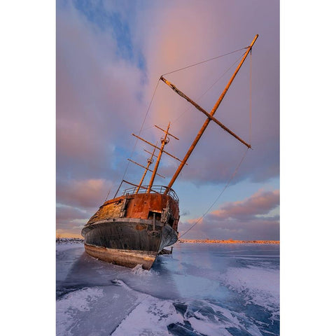 Frozen White Modern Wood Framed Art Print by Huang, Richard