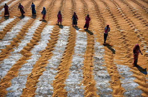 People At Work Black Ornate Wood Framed Art Print with Double Matting by Das, Avishek