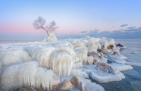 Ice Wonderland Black Ornate Wood Framed Art Print with Double Matting by Deng, Larry