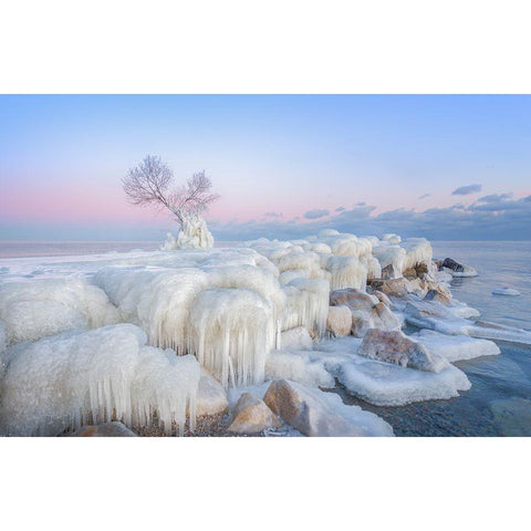 Ice Wonderland Black Modern Wood Framed Art Print by Deng, Larry