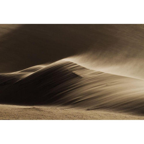 East Wind In The Namib Desert Black Modern Wood Framed Art Print with Double Matting by Ivanoff-Erb, Xenia