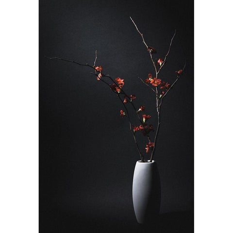 A Japanese Quince Black Modern Wood Framed Art Print with Double Matting by Kiyota, Daisuke