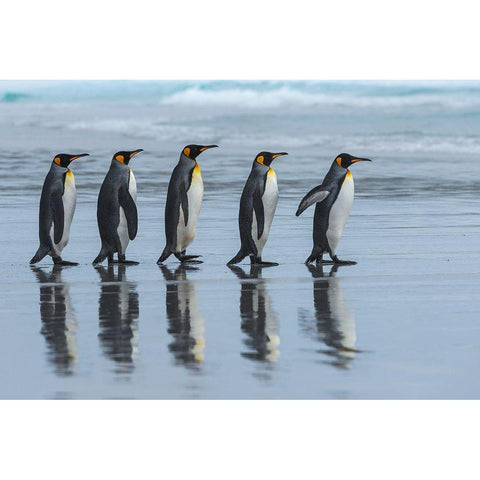 Five Online White Modern Wood Framed Art Print by Angel Artus, Miquel