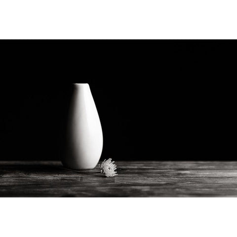 Flower And Vase Black Modern Wood Framed Art Print with Double Matting by Ljubicic, Dusan