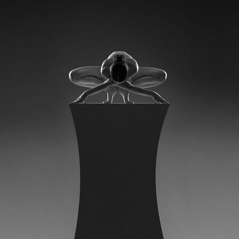 Box 3 Gold Ornate Wood Framed Art Print with Double Matting by Birkhofer, Bruno