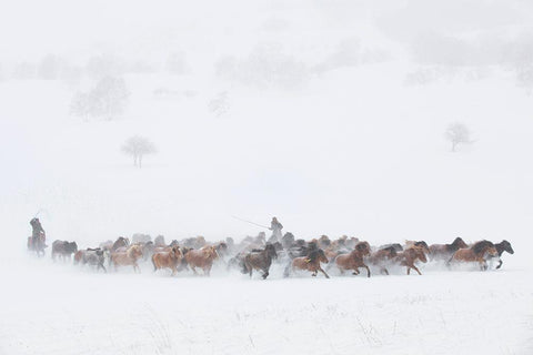 Winter Pastures White Modern Wood Framed Art Print with Double Matting by Xu, Tony