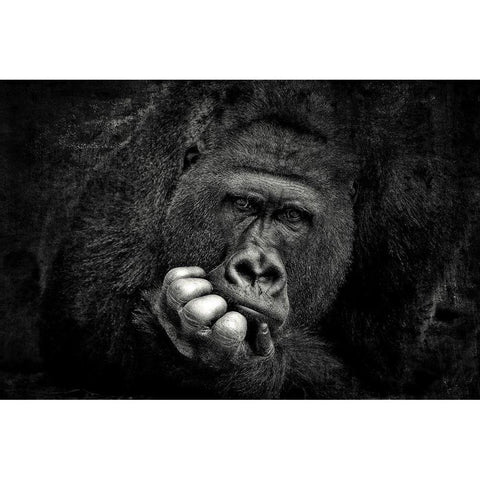 You .... Gold Ornate Wood Framed Art Print with Double Matting by Wenner-Braun, Antje