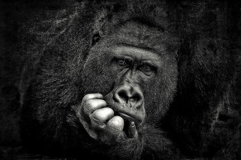 You .... Black Ornate Wood Framed Art Print with Double Matting by Wenner-Braun, Antje