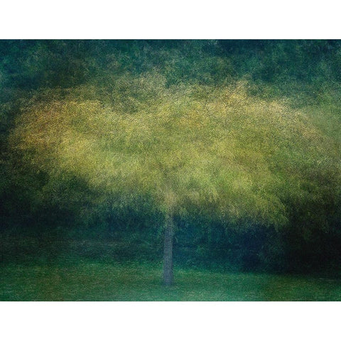 A Tree Black Modern Wood Framed Art Print with Double Matting by Holmstrom, Katarina