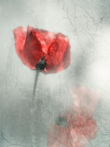 Untitled Black Ornate Wood Framed Art Print with Double Matting by Ignatova, Desislava