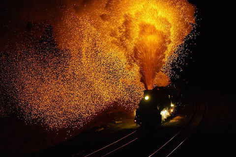 Fire Dragon Black Ornate Wood Framed Art Print with Double Matting by Shen, Shirley