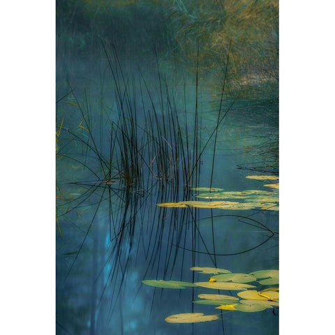 Aqua Black Modern Wood Framed Art Print with Double Matting by Agazzi, Andreas