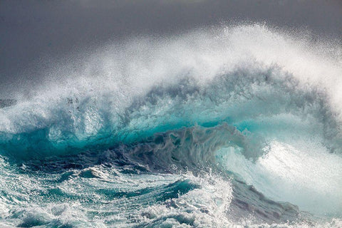 Mighty Water Black Ornate Wood Framed Art Print with Double Matting by Degryse, Michelle