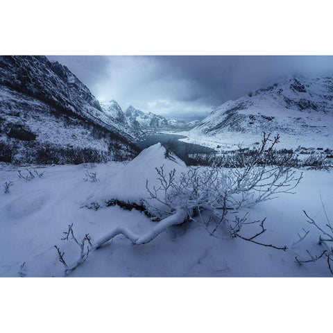 Winter Is Coming Black Modern Wood Framed Art Print by Martin Castan, David