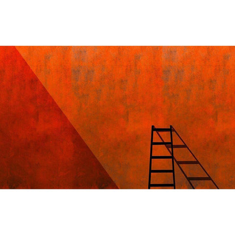 A Ladder And Its Shadow Gold Ornate Wood Framed Art Print with Double Matting by Schuster, Inge