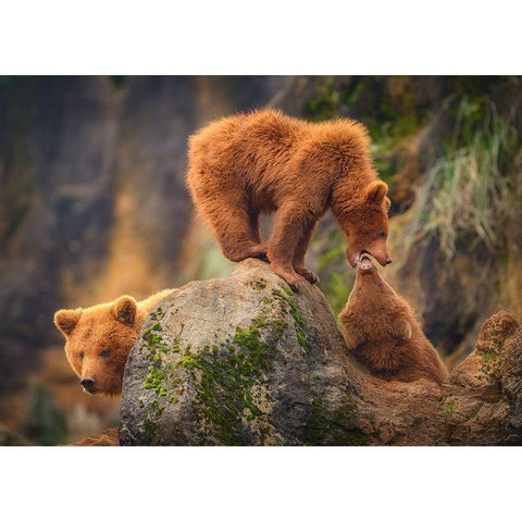 Playing In The Heights Black Modern Wood Framed Art Print with Double Matting by Saavedra Ruiz, Sergio