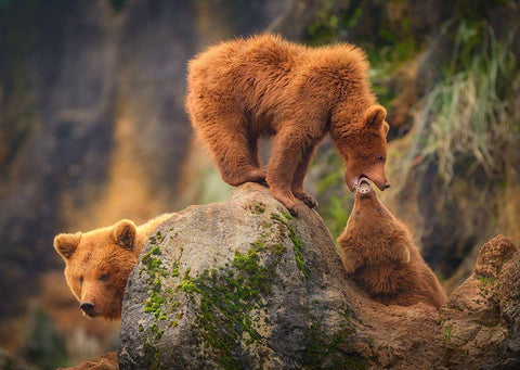 Playing In The Heights White Modern Wood Framed Art Print with Double Matting by Saavedra Ruiz, Sergio