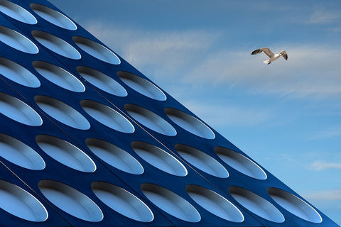 The Seagull White Modern Wood Framed Art Print with Double Matting by van Maastricht, Henk