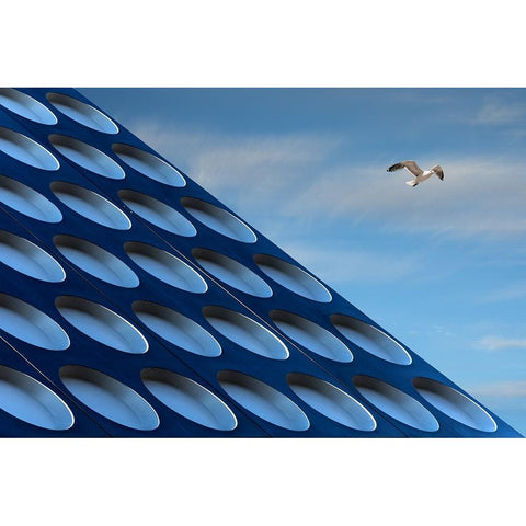 The Seagull Black Modern Wood Framed Art Print by van Maastricht, Henk