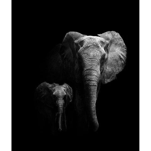 Mother And Child White Modern Wood Framed Art Print by Wildphotoart