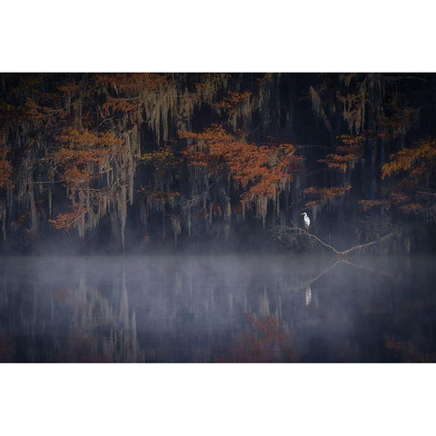 Misty Morning Black Modern Wood Framed Art Print with Double Matting by Zheng, Michael