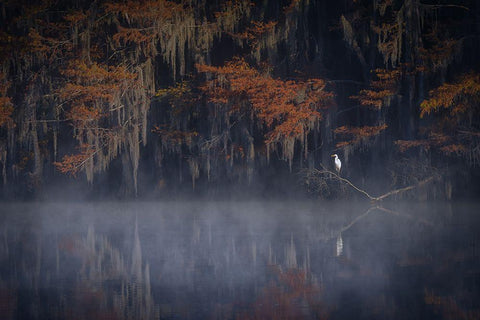 Misty Morning White Modern Wood Framed Art Print with Double Matting by Zheng, Michael