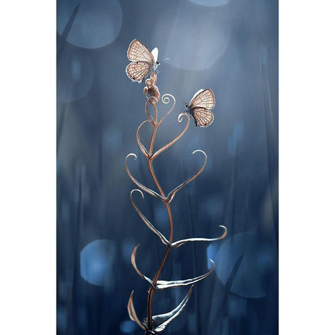 You And Me Black Modern Wood Framed Art Print by Pamungkas, Edy