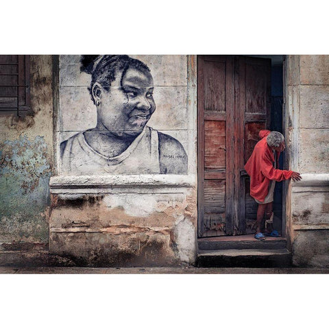 Curious Black Modern Wood Framed Art Print by Bauer, Andreas