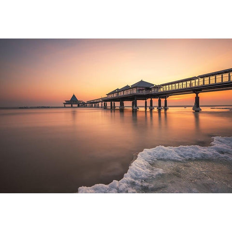 Ice Age Gold Ornate Wood Framed Art Print with Double Matting by Oelschlegel, Robin