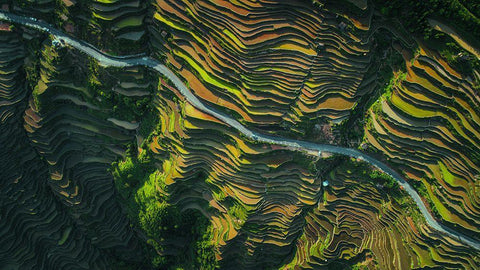 The Way Of Terraced Fields White Modern Wood Framed Art Print with Double Matting by Tianqi