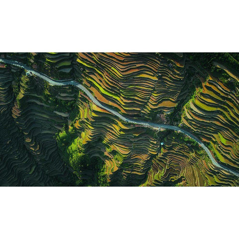 The Way Of Terraced Fields Gold Ornate Wood Framed Art Print with Double Matting by Tianqi