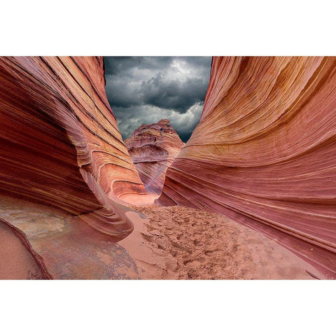 Riders On The Storm White Modern Wood Framed Art Print by Cesar Faria, Danilo