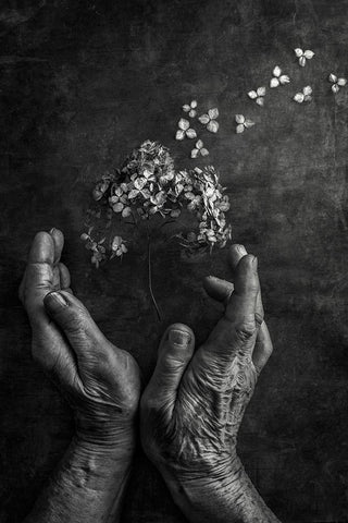 Tempus Fugit White Modern Wood Framed Art Print with Double Matting by Clough, Stephen