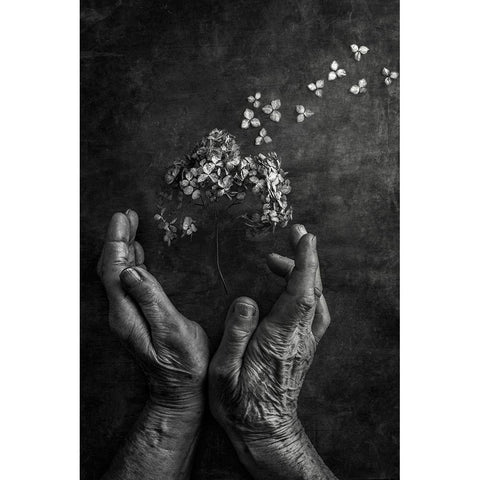 Tempus Fugit Black Modern Wood Framed Art Print by Clough, Stephen