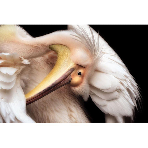 Gorgeous Black Modern Wood Framed Art Print by Itoyama, Eiji