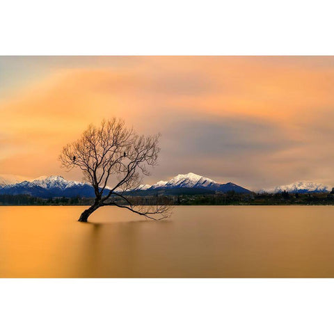 Morning Glow Of The Lake Wanaka Black Modern Wood Framed Art Print with Double Matting by Zhu, Hua