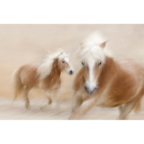 Direct Contact White Modern Wood Framed Art Print by Benezech, Martine