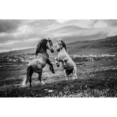 Wild And Free White Modern Wood Framed Art Print by Vidak, Vedran