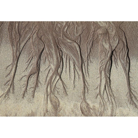 Low Tide Gold Ornate Wood Framed Art Print with Double Matting by Johansson, Bror