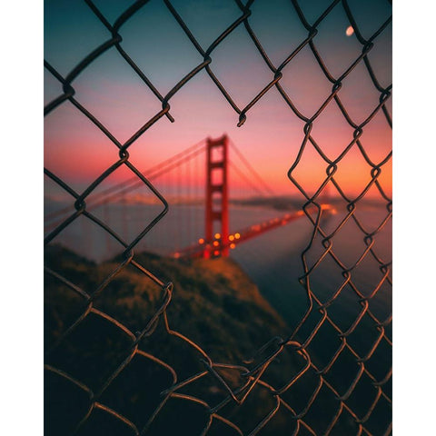 Golden Gate Caged White Modern Wood Framed Art Print by George, David