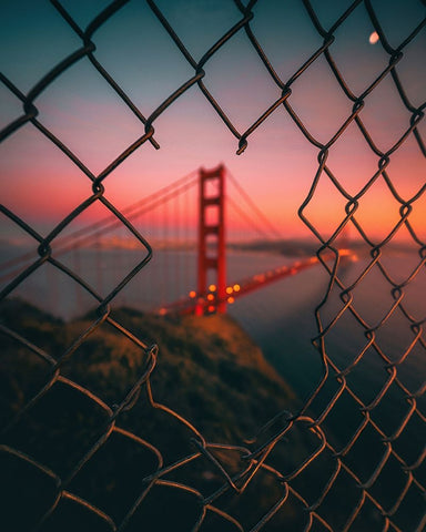 Golden Gate Caged Black Ornate Wood Framed Art Print with Double Matting by George, David