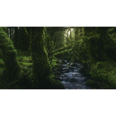 Hidden Wood Black Modern Wood Framed Art Print with Double Matting by De La, Javier