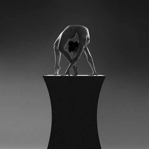 Sculpture Black Modern Wood Framed Art Print by Birkhofer, Bruno