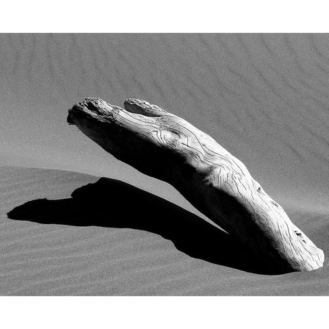 Ergo Black Modern Wood Framed Art Print by Abramovici, Miron