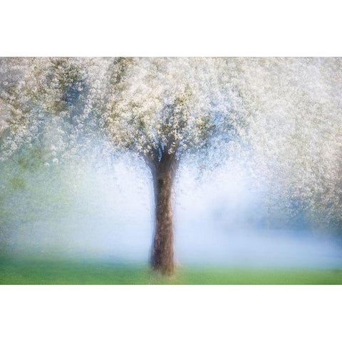 Dreamy Spring Black Modern Wood Framed Art Print with Double Matting by Stutz, Martina