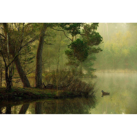 Mood Of Spring Gold Ornate Wood Framed Art Print with Double Matting by Van Dongen, Anton