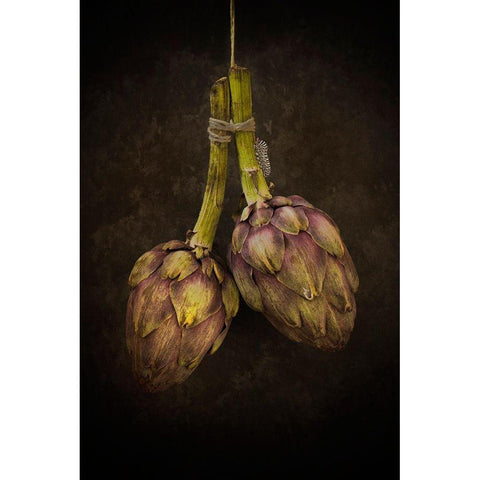 Artichoke Gold Ornate Wood Framed Art Print with Double Matting by Van Zaane, Alida