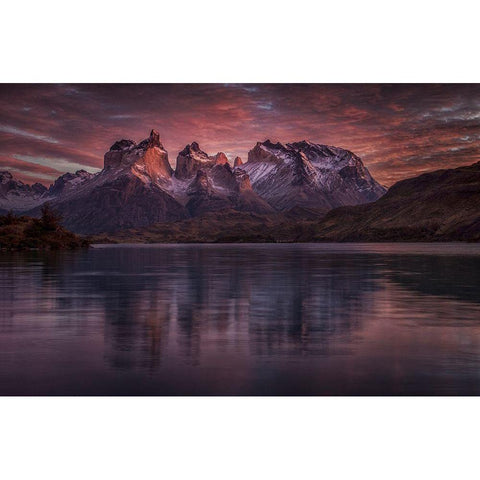 Purple Mirroring Black Modern Wood Framed Art Print by Svoboda Mqep, Peter